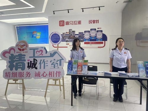 安顺税务 诚信文化浸润园区，志愿服务赋能发展——大型活动组织服务纪实